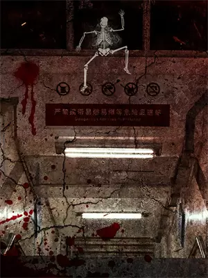 枯木亦逢春可我不逢你