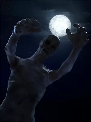 野人播种